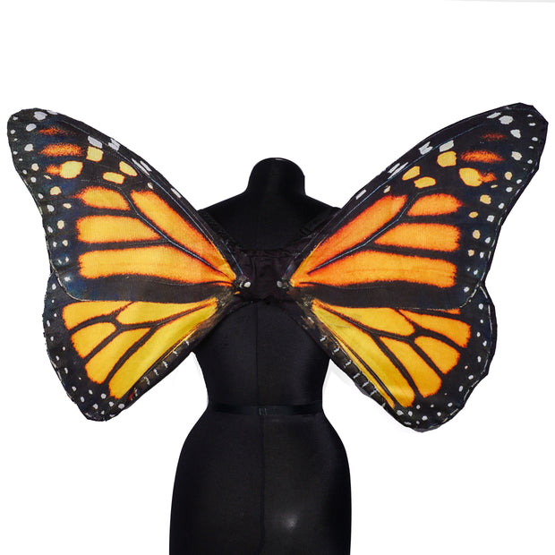 Orange Monarch Mini Wing
