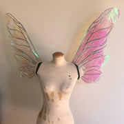 Pink/green Hollographic Fairy Wings 2
