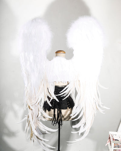 the Holy Celestial Wing