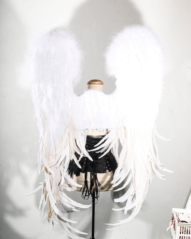 the Holy Celestial Wing