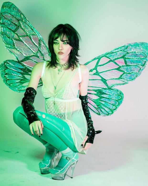 Green iridescent fairy wing