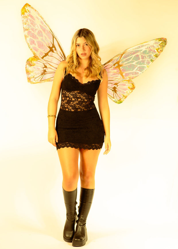 Yellow iridescent fairy wing