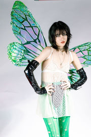 Green iridescent fairy wing