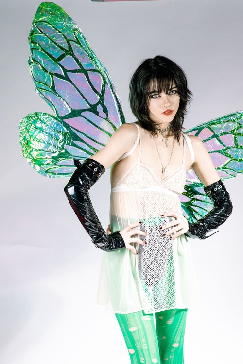 Green iridescent fairy wing