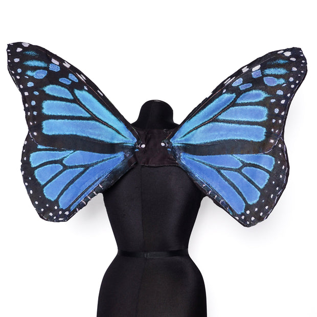 Blue Monarch Mini Wing