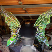 white green pink blue iridescent fairy wing