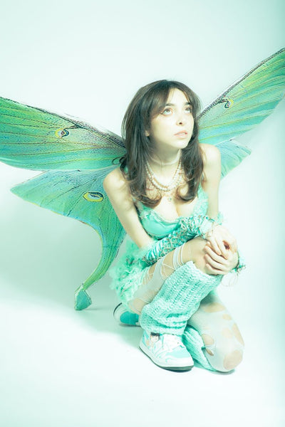 Green Luna moth mega wing