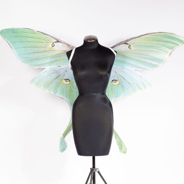 Green Luna moth mega wing