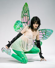 Green iridescent fairy wing