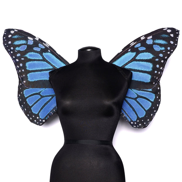 Blue Monarch Mini Wing