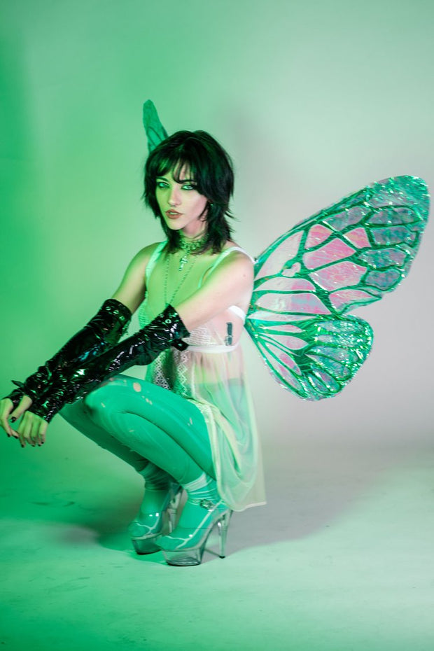 Green iridescent fairy wing