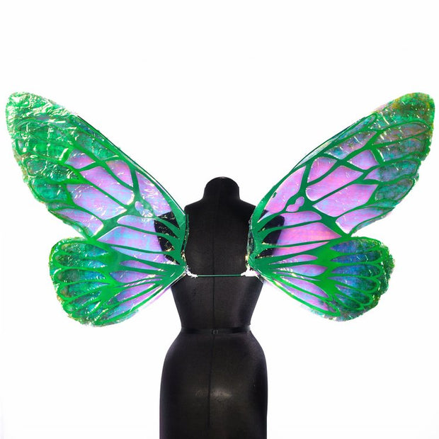 Green iridescent fairy wing