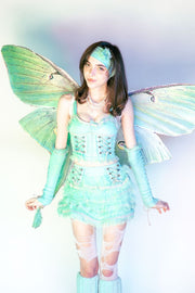 Green Luna moth mega wing