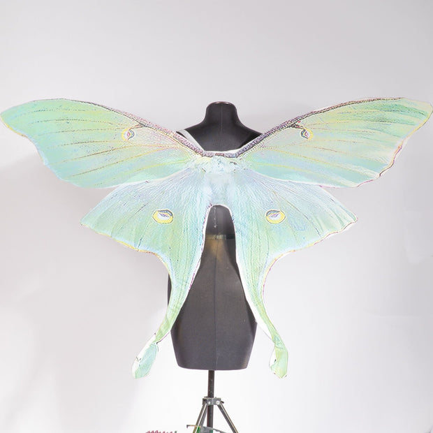 Green Luna moth mega wing