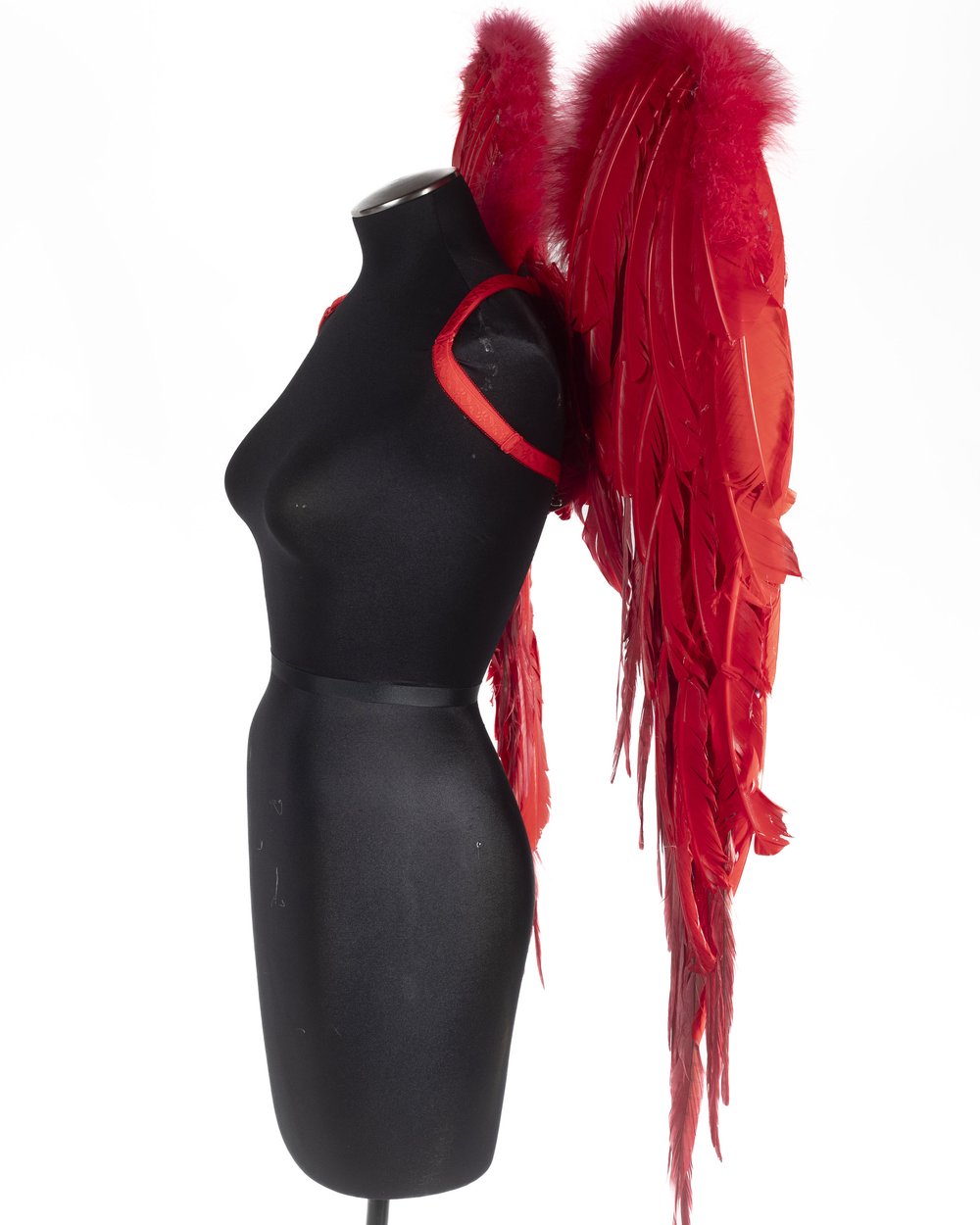 red dress with wings Red Devilish Angel Costume Wings, Size: ST